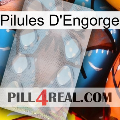 Engorge Pills 16